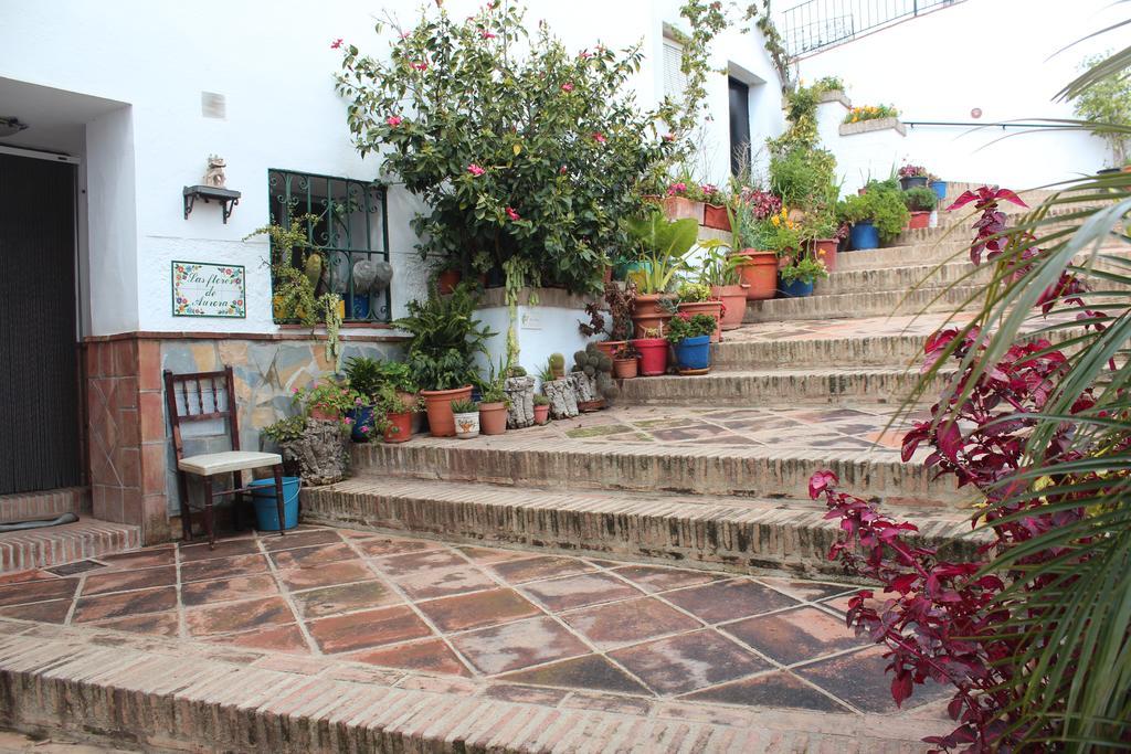 Casas Rurales Jardines Del Visir Genalguacil Esterno foto