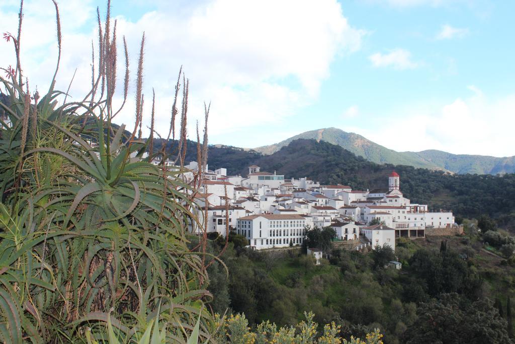 Casas Rurales Jardines Del Visir Genalguacil Esterno foto
