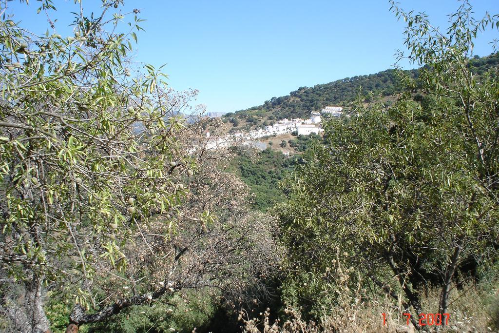 Casas Rurales Jardines Del Visir Genalguacil Esterno foto