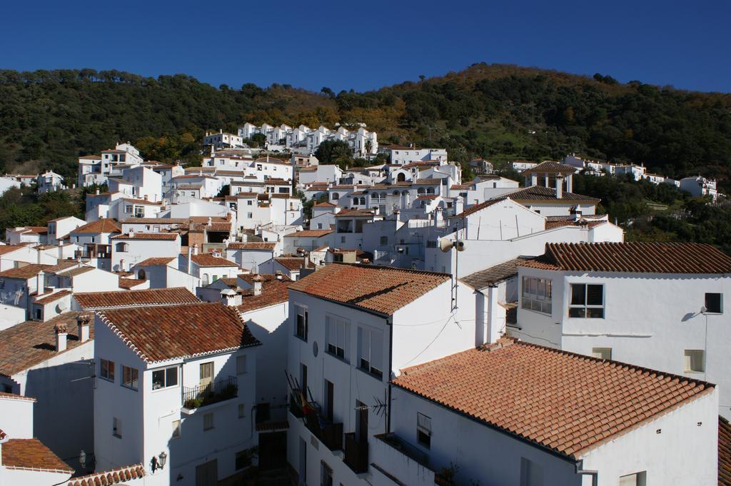 Casas Rurales Jardines Del Visir Genalguacil Esterno foto