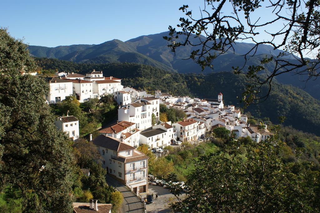 Casas Rurales Jardines Del Visir Genalguacil Esterno foto