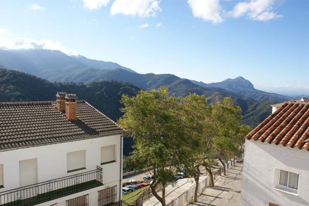 Casas Rurales Jardines Del Visir Genalguacil Esterno foto