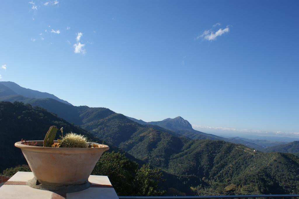 Casas Rurales Jardines Del Visir Genalguacil Esterno foto