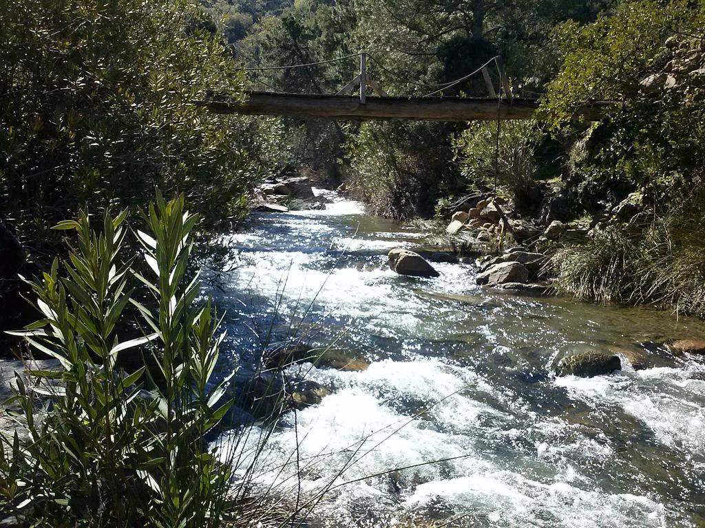 Casas Rurales Jardines Del Visir Genalguacil Esterno foto